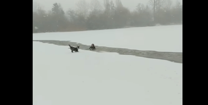 [VIDEO] Mujer arriesga su vida en para rescatar a perro en lago congelado