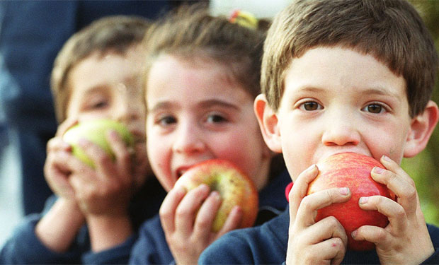 Estudios del INTA confirman cómo los alimentos altos en grasas y azúcares afectan el desarrollo cognitivo de los niños