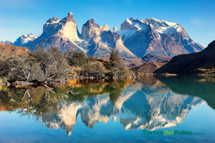 Conservación de la biodiversidad: una gran oportunidad para Chile