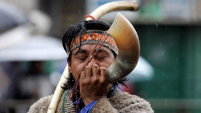 «Un cáncer al país»: página de Wikipedia del pueblo Mapuche es editada desde una IP del Gobierno