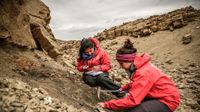Descubren dinosaurio semiarticulado en la región de Magallanes