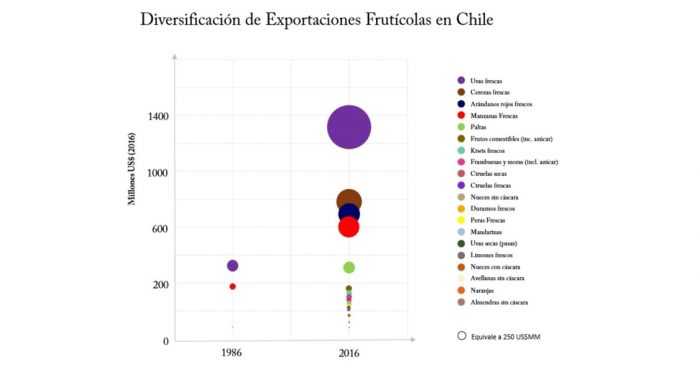 El gran salto exportador de frutas de Chile en los últimos 20 años