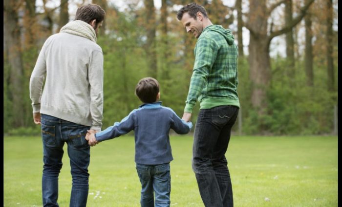 Organizaciones piden al Gobierno permitir adopción homoparental