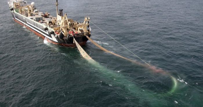 Sobreexplotación del mar: ausencia de Observador Científico en buques vulnera Ley de Pesca desde 2013