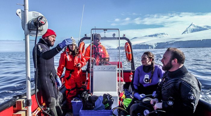 Científicos del Instituto Antártico Chileno identifican a las especies del fondo marino como «centinelas del cambio climático»