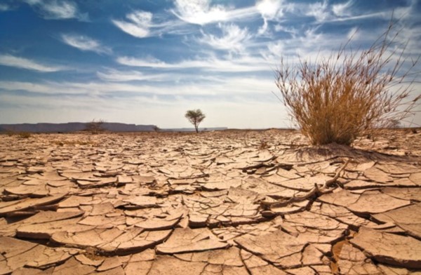 Informe de la ONU advierte que Chile es uno de los países más afectados por la desertificación