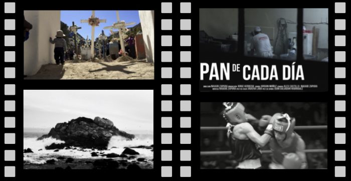 Exhibición cortometrajes documentales regionales en Museo Violeta Parra