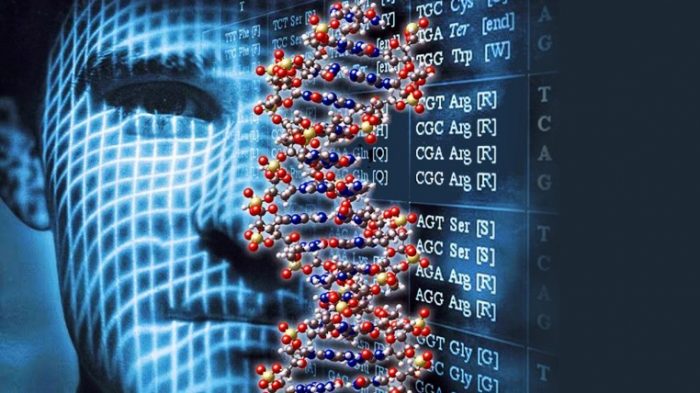 El nuevo botín: avance de la genómica abre debate sobre la propiedad de la información genética en Chile