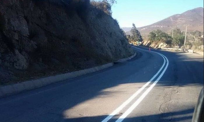 Indignación por línea de carretera que pintaron sobre un perro muerto en mitad de la vía