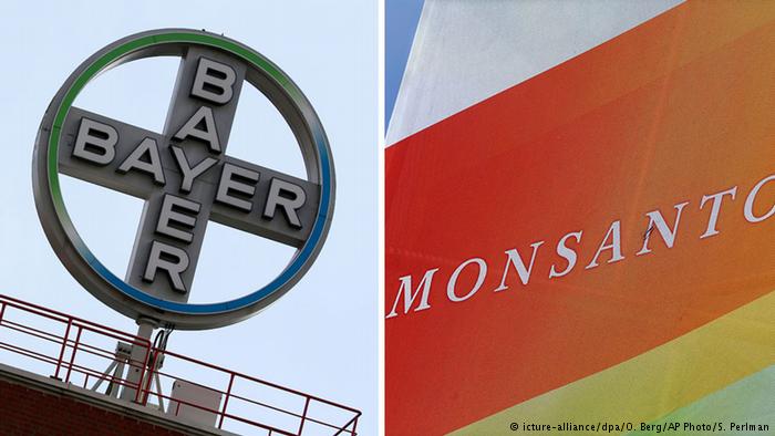 Compra histórica y controvertida: Bayer se traga a Monsanto