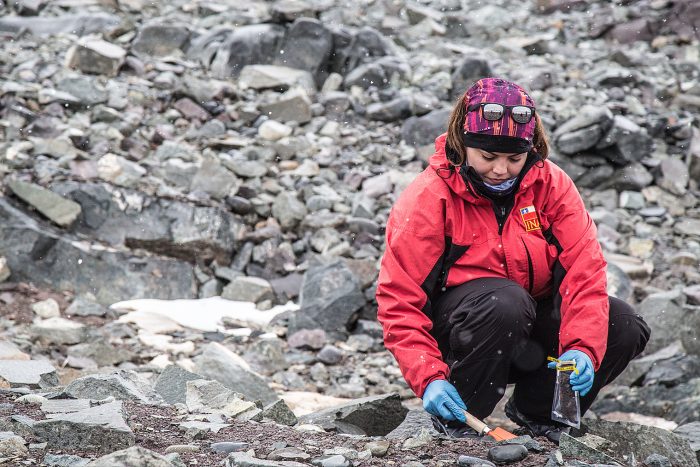 Mujeres lideran el 43 % de los proyectos científicos antárticos