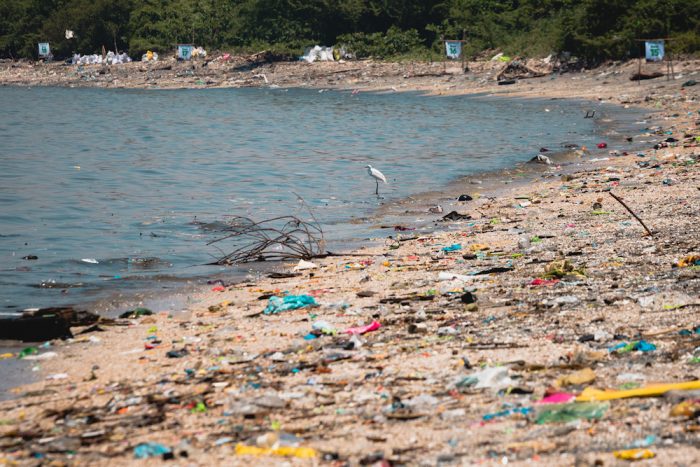 Greenpeace: “La gran batalla que hoy enfrenta la humanidad es poder derrotar al plástico”