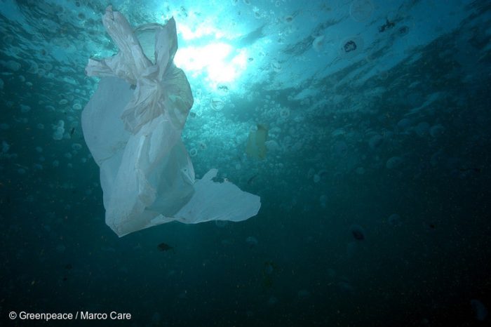 Greenpeace y hallazgo de microplásticos en centollas: “El plástico en el mar chileno se está convirtiendo en un problema de salud pública”
