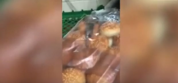 Encuentran ratones en las bolsas de pan de una cadena de comida rápida