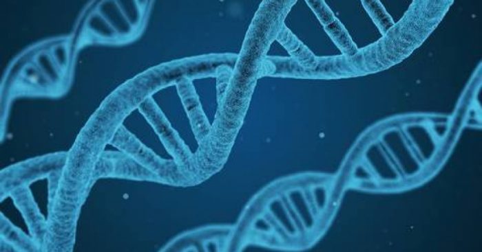 Científico español preocupado por modificación genética con fines «incorrectos»