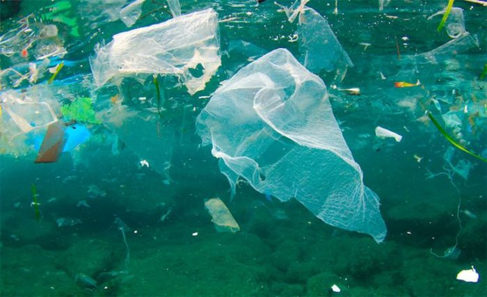 Bolsas plásticas: prohibir por el bien común
