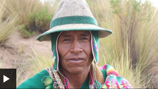 Walipini, la ingeniosa manera de cultivar vegetales en un clima extremo y a 4.000m de altura en Bolivia
