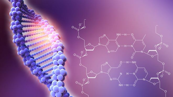 CRISPR/Cas9: las serias advertencias de unos científicos sobre los peligros de la técnica que revolucionó la genética