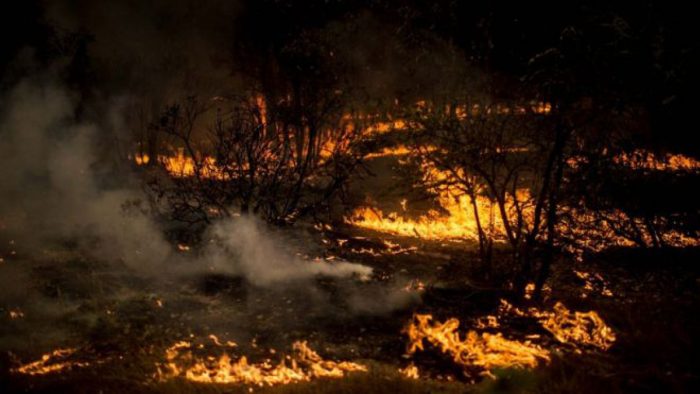 La colusión del fuego: Conaf estudia acciones legales contra empresas encargadas de apagar incendios forestales por «impedir la competencia»