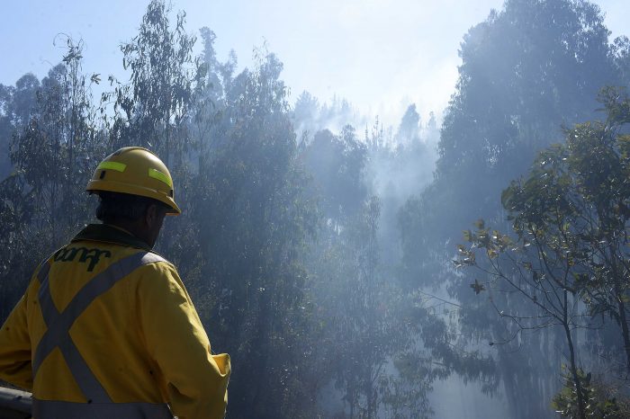 “Incendio” en la Conaf: Funcionarios califican al director y el ministro de Agricultura de ser los “sepultureros” de la entidad