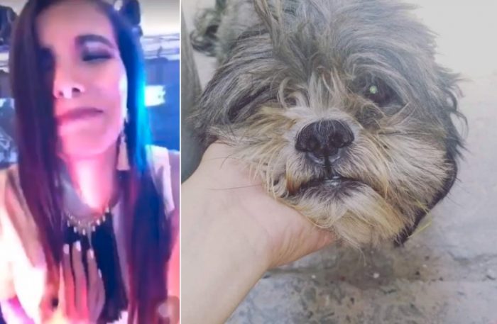 Funa en redes sociales a presentadora mexicana que atropelló a un perro y se burló de ello en Facebook