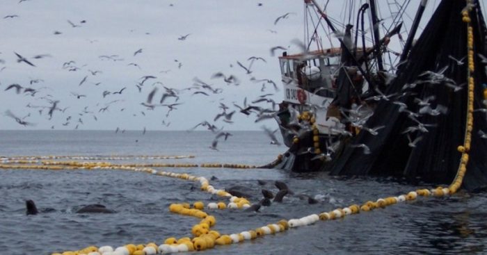 La pesca ilegal en aguas nacionales: un atentado flagrante contra la biodiversidad
