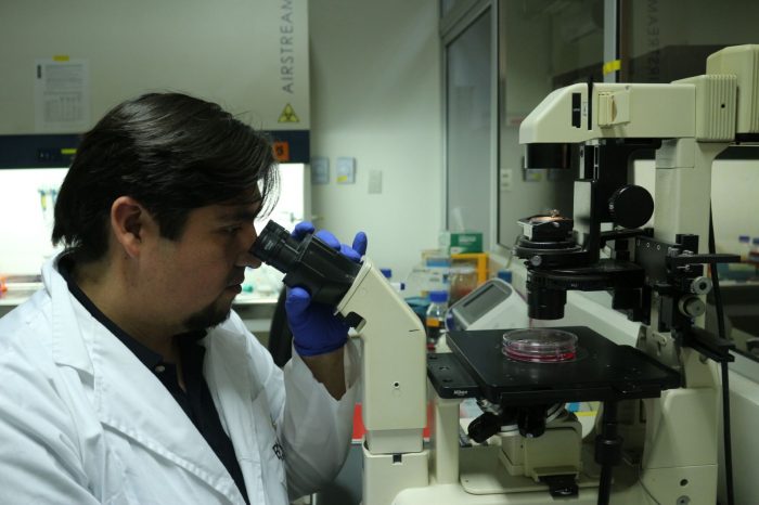 Peces, moscas y ratones protagonizan estudio chileno sobre desarrollo del cerebro publicado en «Nature Cell Biology»