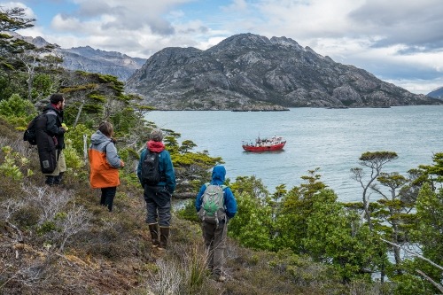 Alentador: Tierra del Fuego cuenta con su primera Área Marina Protegida