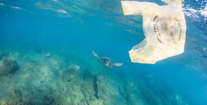 Greenpeace celebra rechazo a requerimiento de industriales del plástico: «Solo les queda acatar en vez de buscar resquicios»