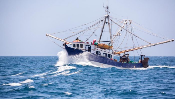 Cambio climático amenaza con transformar los ecosistemas marinos: pesca podría disminuir hasta un 12 % para 2050