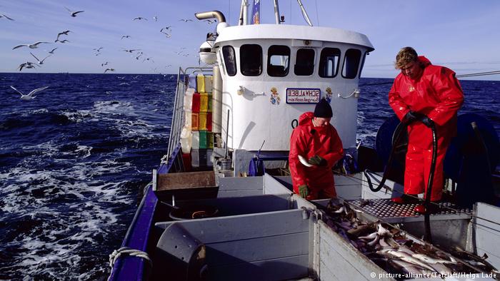 FAO alerta aumento en la sobreexplotación de recursos pesqueros