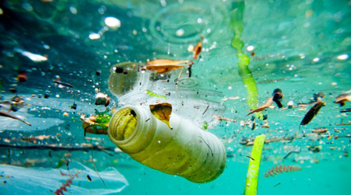 ¿Dónde están las islas de plástico más grandes del ecosistema marino en el mundo?
