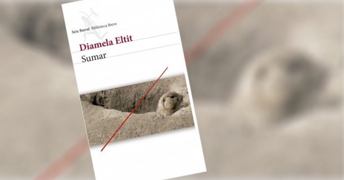 Libro «Sumar» de Diamela Eltit: Cuerpos móviles