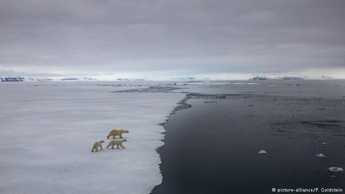El «último sobreviviente»: se rompe el hielo marino más antiguo y espeso del Ártico