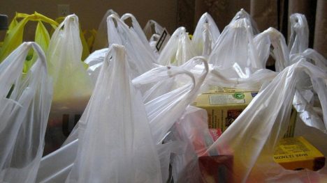 Día Internacional Sin Bolsas Plásticas: avances, desafíos y la urgencia de un cambio cultural