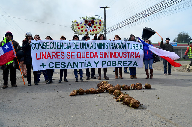 «Vayan a cultivar tomates»: Linares se enfrenta al derrumbe de los precios del azúcar tras el cierre de Iansa