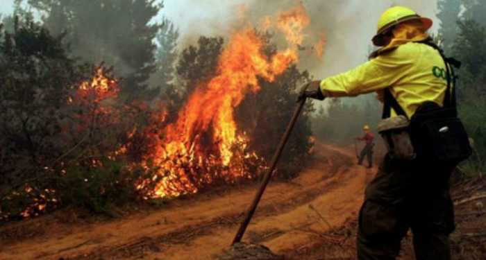 Esperando el desastre ambiental de los incendios forestales