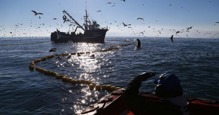 A propósito del fallo de La Haya ¿en realidad nuestro mar y sus recursos son de todos los chilenos?