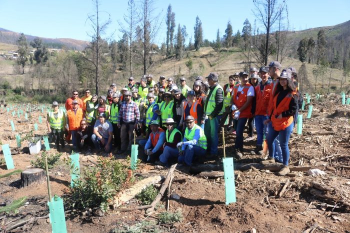 Inician proyecto de reforestación en Cerro La Carmiña de Santa Olga