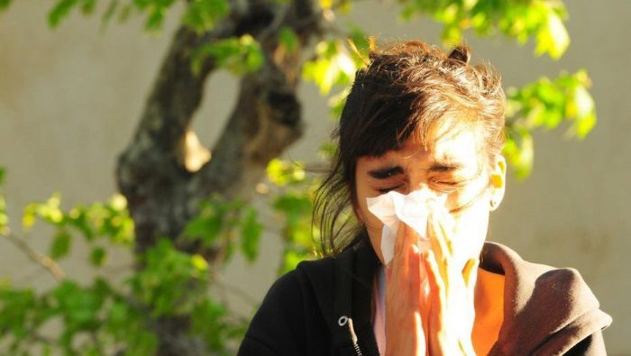 ¿Qué son las alergias y por qué aumentan en septiembre?