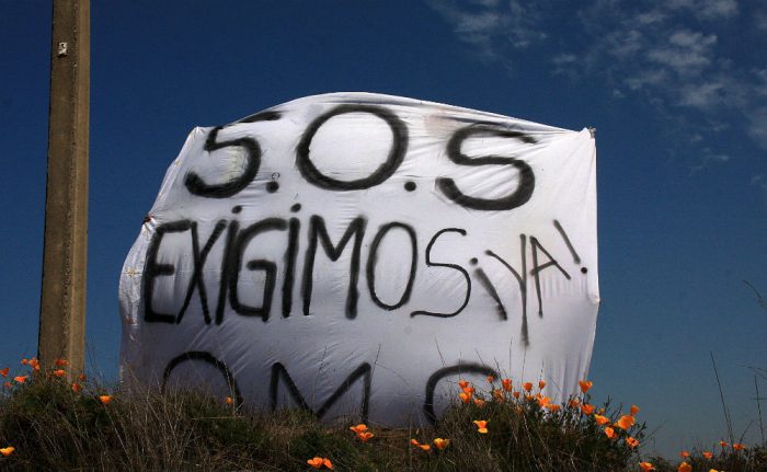 Más de 130 expertos en derecho ambiental e internacional emplazan al Gobierno: Chile debe firmar el Acuerdo de Escazú
