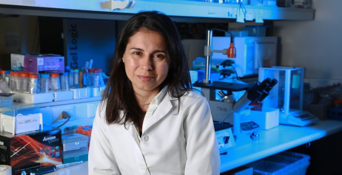Científica chilena obtiene Premio Avonni con sistema de diagnóstico rápido de virus