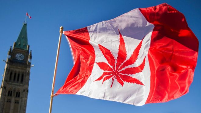 Cannabis legal en Canadá: colas y escasez en los primeros días de venta y de consumo legal de marihuana