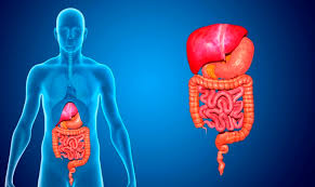 Data Science ayudaría a predecir cánceres digestivos