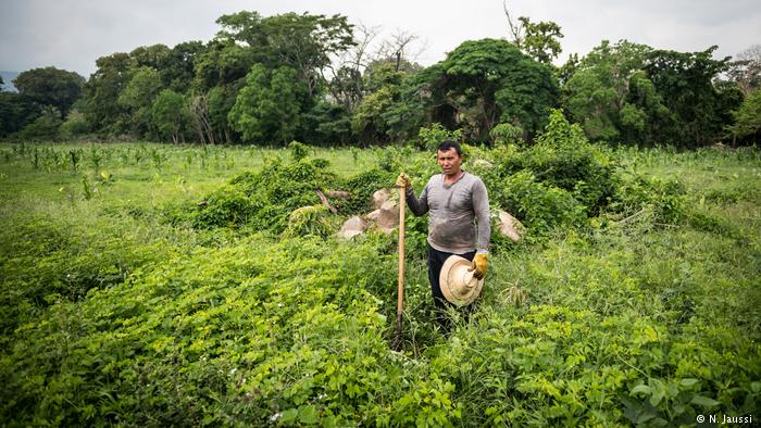 Francia reconvertirá en guías forestales a ex guerrilleros de las FARC
