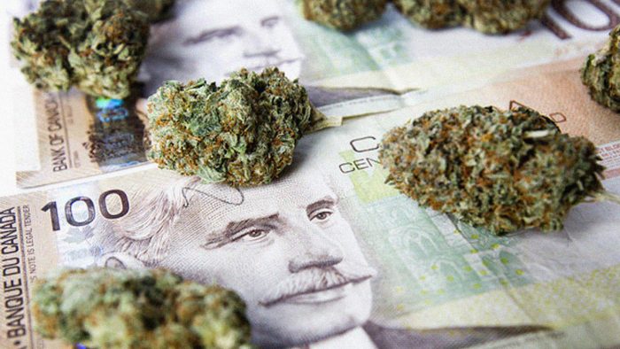 Scotiabank asegura que el «oro verde» trae ganancias y en Canadá la marihuana mueve mercado de US$ 4.200 millones
