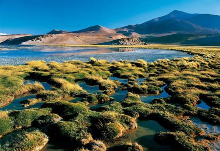 Biodiversidad en la encrucijada