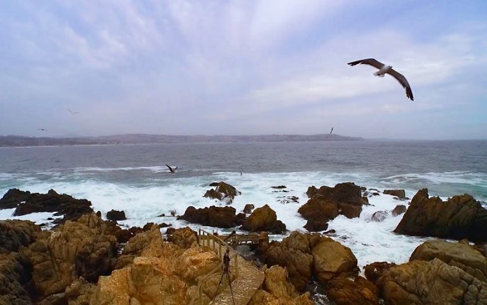 Cómo avanza la energía marina en Chile: centro de investigación busca reducir emisiones de carbono hacia 2030