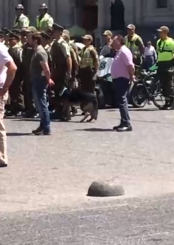 Denuncian que Carabineros no se preocupa del cuidado de sus perros durante las olas de calor en Santiago