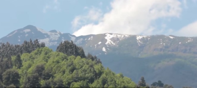 Comunidad Pehuenche de Malla Malla quema bandera de Chile: “ha sido un sometimiento para nuestro pueblo”